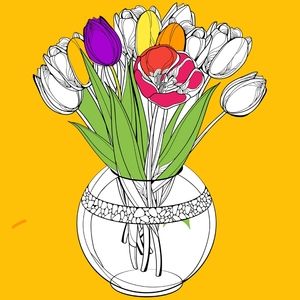 Meet your Posher, Nancy